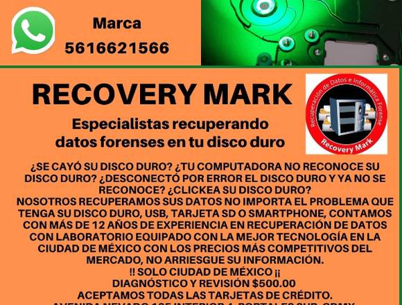 DATOS FORENSES EN RECOVERY MARK