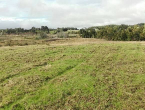 Terreno en aucho Chiloe