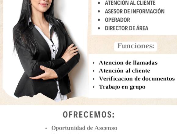 Asesor de Informacion