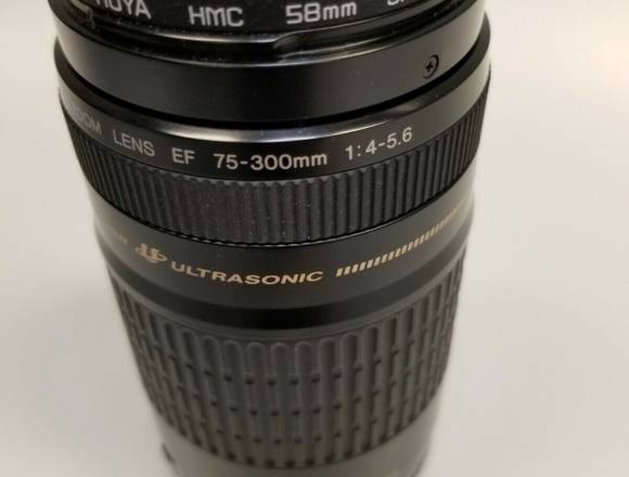 Canon EF 75-300mm f/4-5.6 Lente III