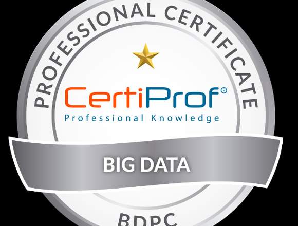 Certificación Internacional en Big Data