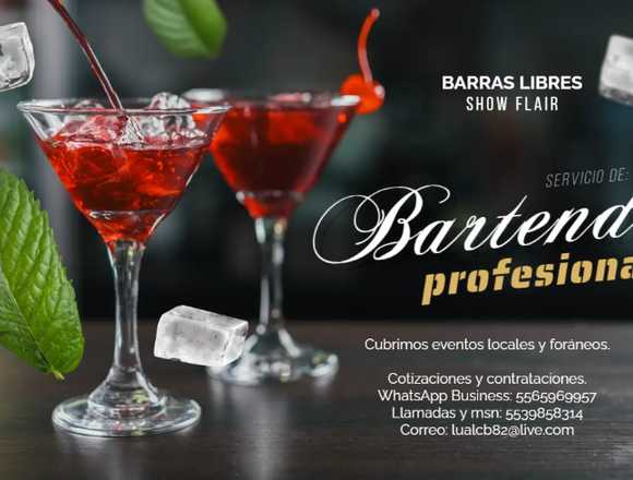 Bartender coctelería profesional y barras libres