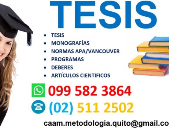 ASESORÍA TESIS, ENSAYOS, PROGRAMAS