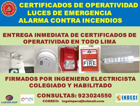 PLANO DISTRIBUCION ELECTRICA ENEL,CUADROS D CARGAS