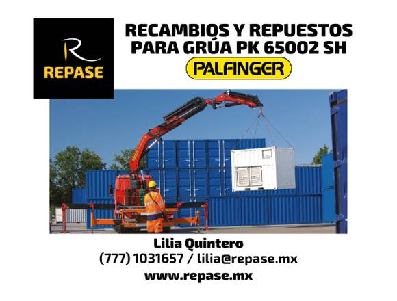 RECAMBIOS PARA GRÚAS PK 65002 SH PALFINGER