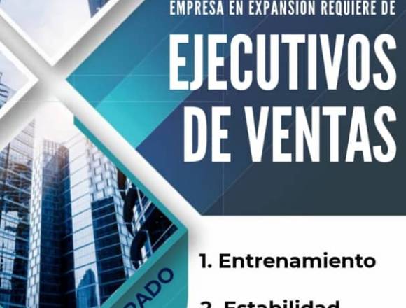 Ejecutivo de  ventas