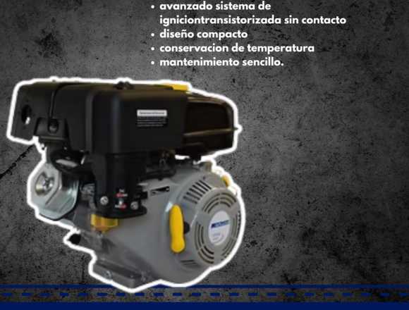Motor a Gasolina 9 HP
