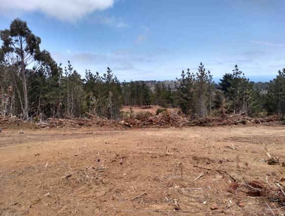 VENDO TERRENOS EN LAGUNA VERDE 