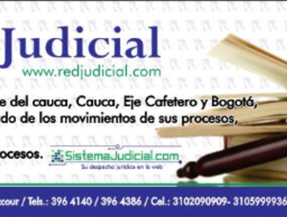 vigilancia y control de procesos judiciales 