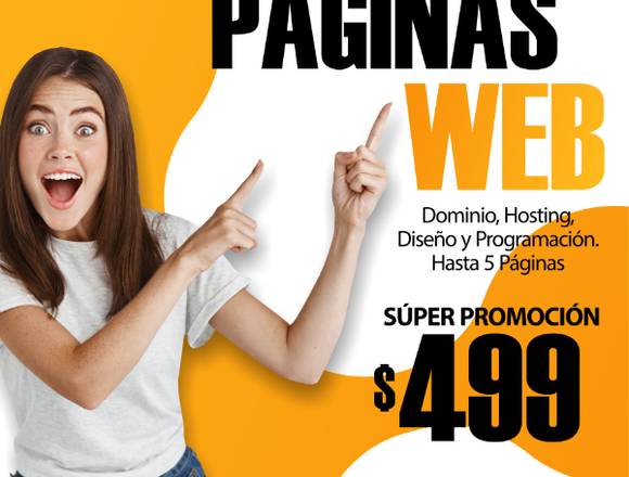 Diseño Web profesional en promoción 