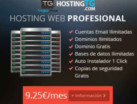 Hosting Profesional con Soporte 24/7