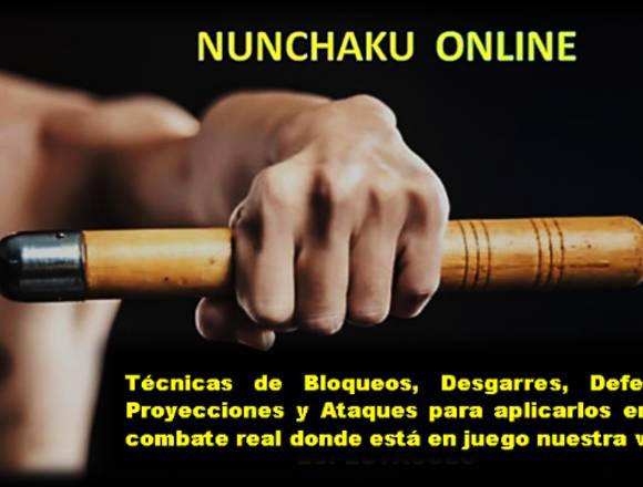 Curso de Nunchaku Online