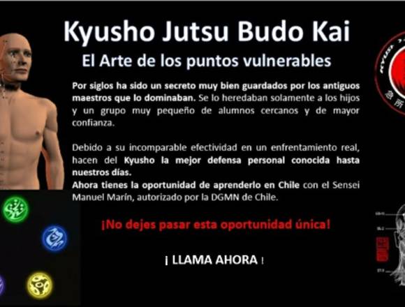 Cursos ONLINE de defensa personal y kyusho jutsu