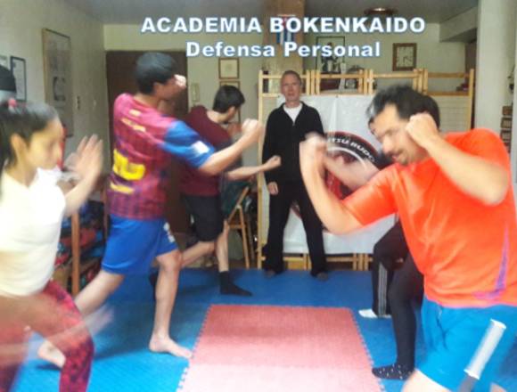Boxeo, karate, aikido, kyusho jutsu clases online