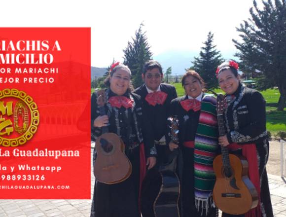 SERENATAS Y MARIACHIS EN CERRO NAVIA