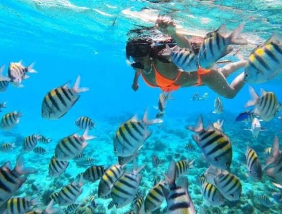 Toures o paseos  en San Andrés isla , Colombia 