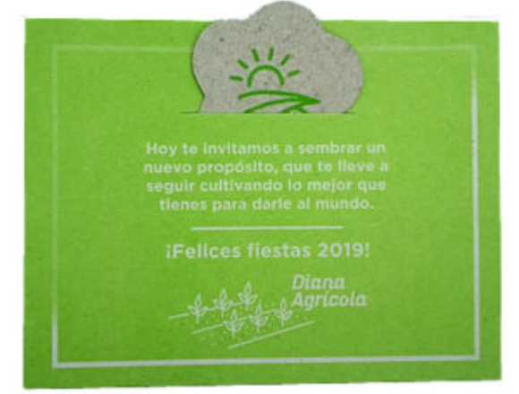 Eco-invitaciones con inserto germinable