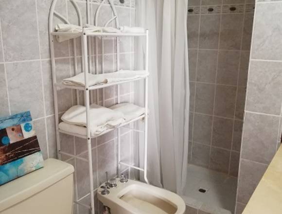 APARTAMENTO EN RENTA EN ZONA 15 de 1 DORMITORIO