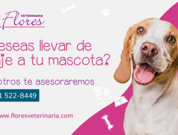 VETERINARIA FLORES –TRAMITE DE VIAJE PARA MASCOTAS