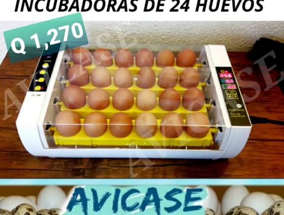 Incubadora de 24 huevos automatica