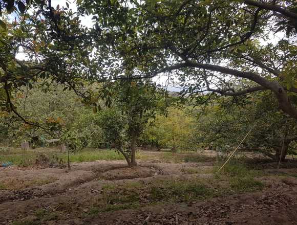 Se vende hermoso terreno en Guayllabamba