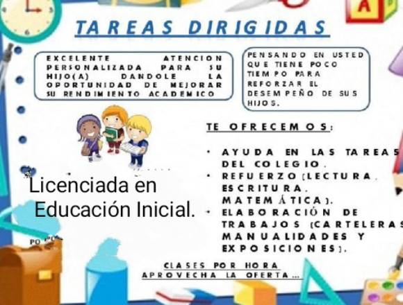 Tareas Dirigidas a Domicilio 