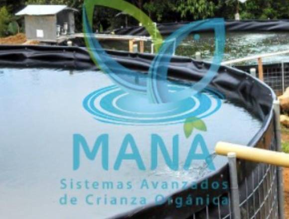 Cultivos de peces para fincas 