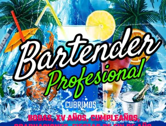 Bartender profesional para eventos privados