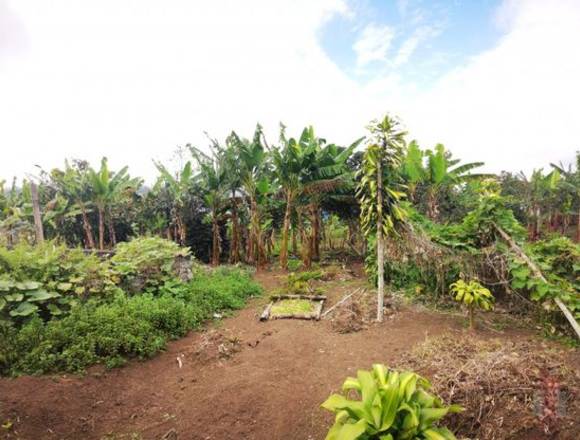 FINCA EN VENTA, QUEREMAL VEREDA MACHADO, RURAL, QUEREMAL.