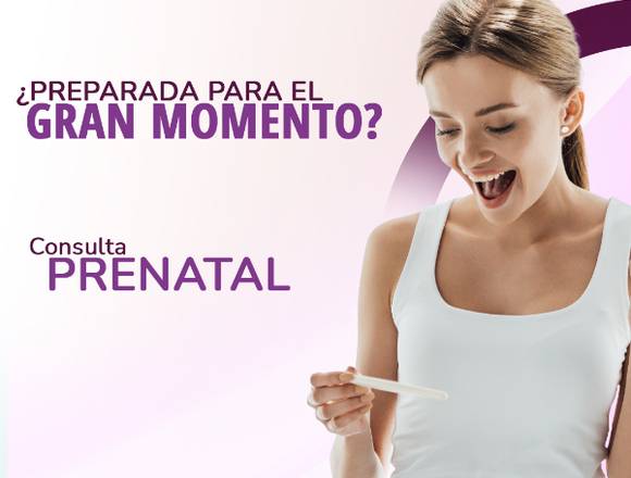 Acude a unaConsulta prenatal