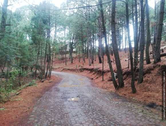 Excelente oportunidad terreno en el bosque de mazamitla, jalisco