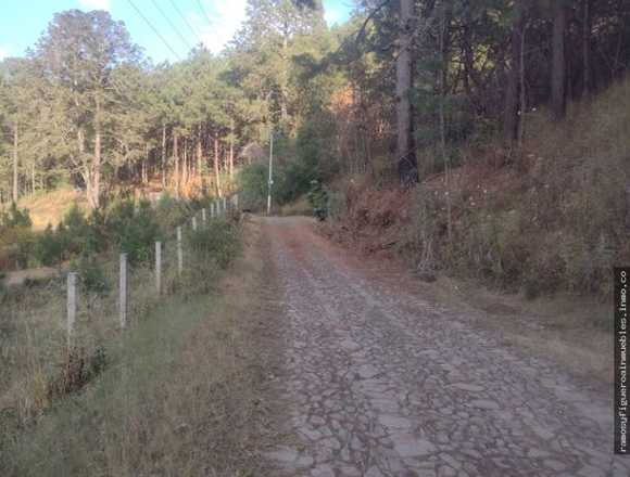 Bonito Terreno amplio en zona de Bosque de Mazamitla Jalisco 