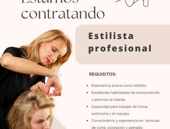 Estilista Profesional