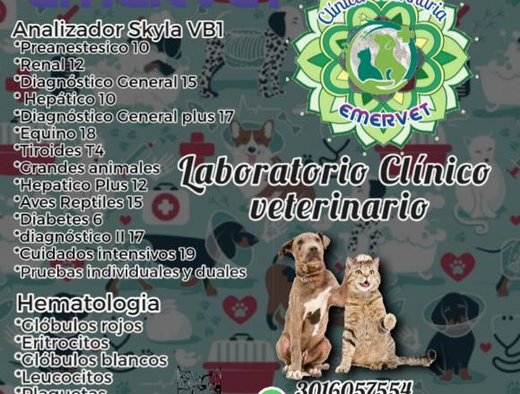 Clínica veterinaria EMERVET servicio 24/7