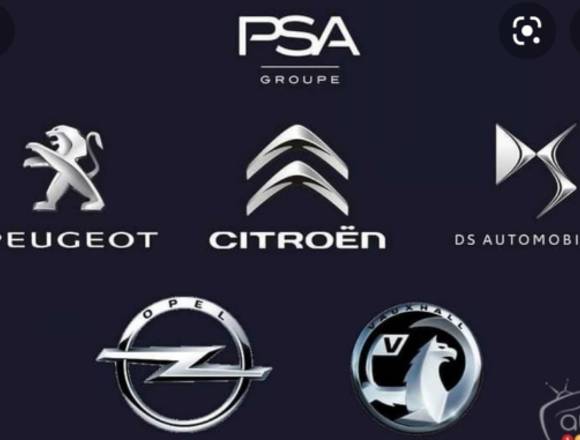Servicio especializado Peugeot Citroen Ds y Opel