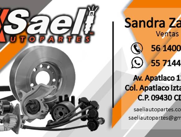  SAELI AUTOPARTES ELECTRICAS