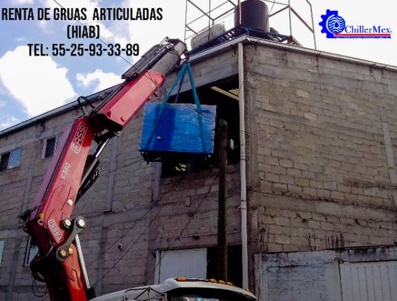 Grúa Hiab en renta para maniobras!