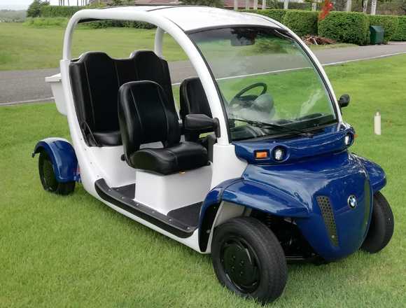 CARRO DE GOLF / CARRITO DE GOLF P VILLAS