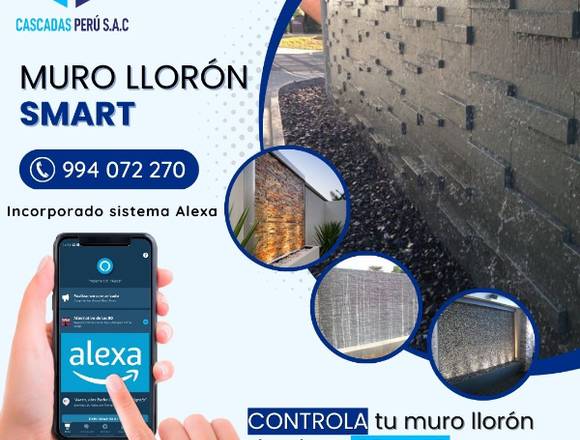 ¡Adquiere nuestro MURO LLORON SMART!