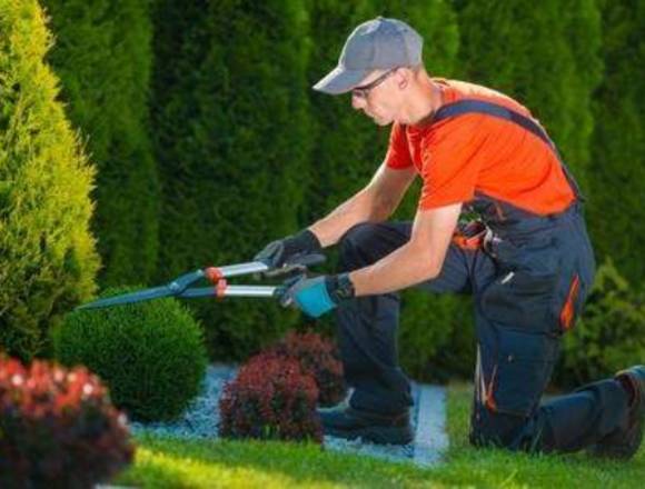 DISEÑO Y ADECUACION DE JARDINES Y ZONAS VERDES