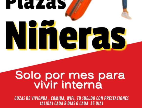 Patoja Chispuda para trabajo Interno