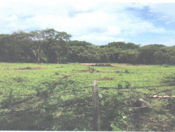 Finca Playa Hermosa, Guanacaste en Venta