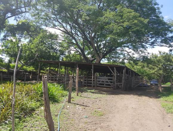  Finca en Venta en Cañas-Guanacaste