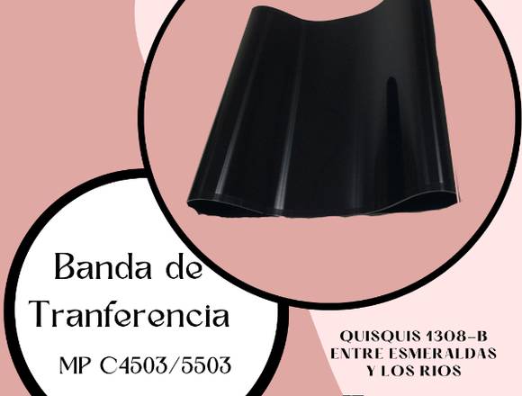BANDA DE TRANFERENCIA MP C4503/5503 