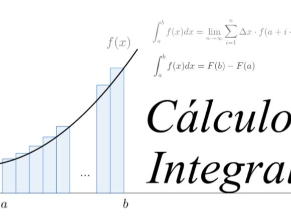 Profesor calculo integral diferencial y matemático