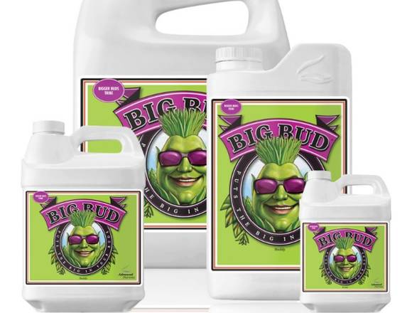 BIG BUD LIQUID DE 1 LITRO