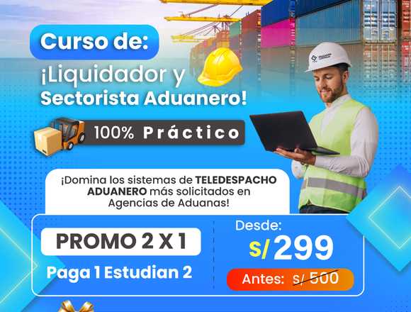 LIQUIDADOR Y SECTORISTA ADUANERO 