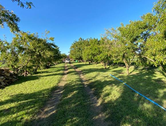 Hermoso campo productivo en Los Ángeles