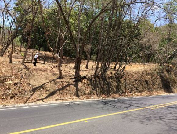 SE VENDE LOTE EL OBISPO, MANSIÓN DE NICOYA