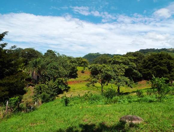 Vendo Finca en Escobal – Atenas – Alajuela